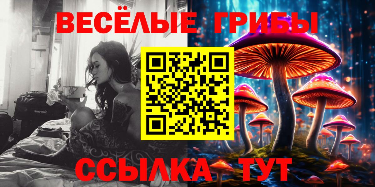 Галлюциногенные грибы Psilocybine cubensis  Вход с VPN  Гай  купить наркотики цена  Псилоцибиновые грибы прущие грибы 