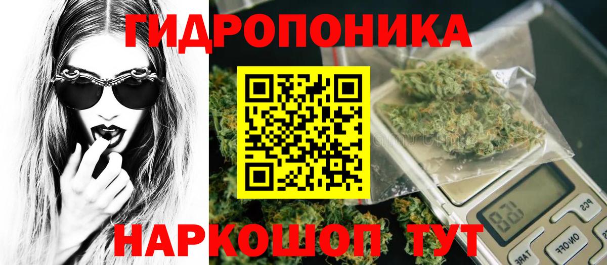 Бошки Шишки конопля Гай